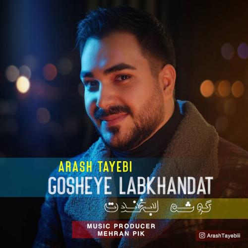 دانلود آهنگ گوشه لبخندت آرش طیبی